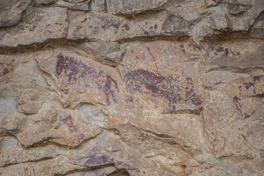 Castelló de la Plana - Ares del Maestrat - cova Remígia 08